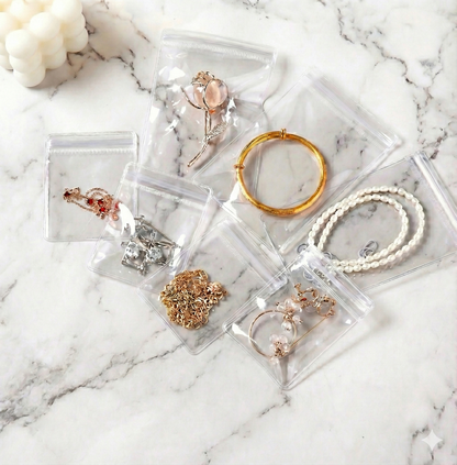 Transparent Storage Pouch