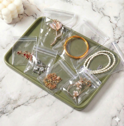 Transparent Storage Pouch