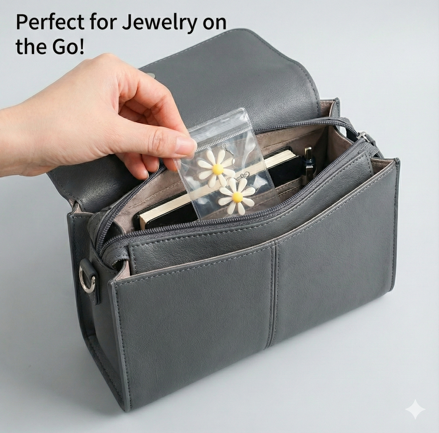 Transparent Storage Pouch